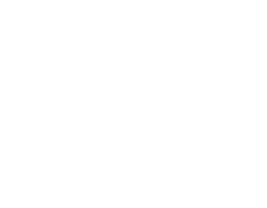 Armanini